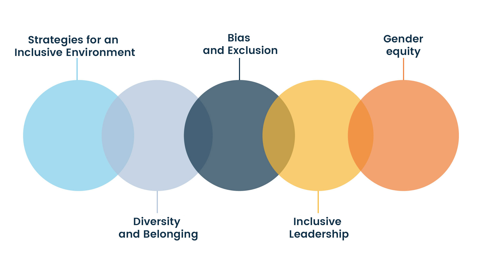 Belonging, Diversity, Equity & Inclusion